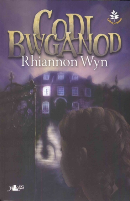 E-book Cyfres yr Onnen: Codi Bwganod Rhiannon Wyn