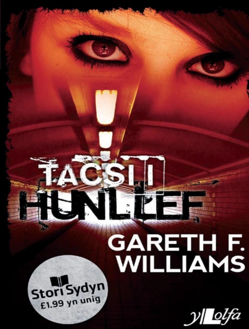 ebook Stori Sydyn: Tacsi i Hunllef F Gareth