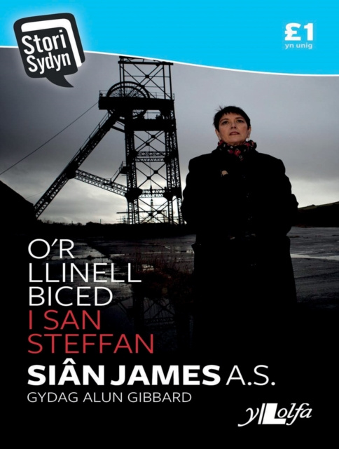 E-kniha Stori Sydyn: O'r Llinell Biced i San Steffan James Sian a Gibbard Alun