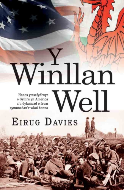 E-book Winllan Well, Y Eirug Davies