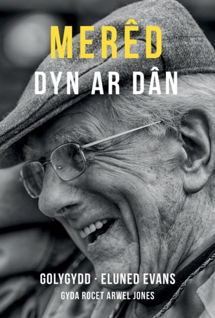 E-kniha Mered - Dyn ar Dan Rocet Arwel Jones