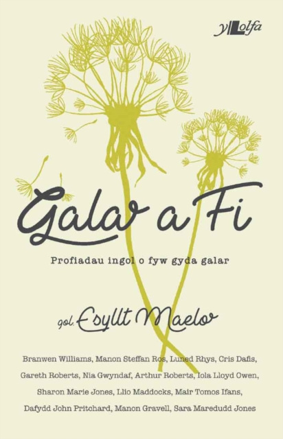 E-kniha Galar a Fi Esyllt Maelor