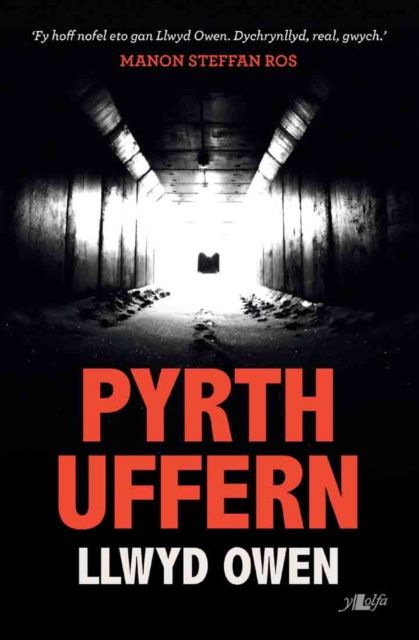 E-Book Pyrth Uffern Llwyd Owen