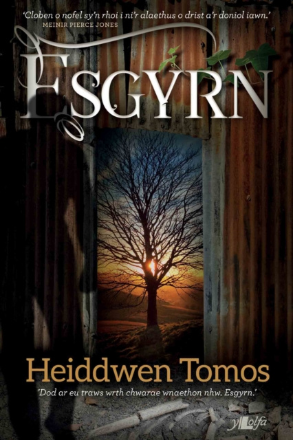 E-book Esgyrn Heiddwen Tomos