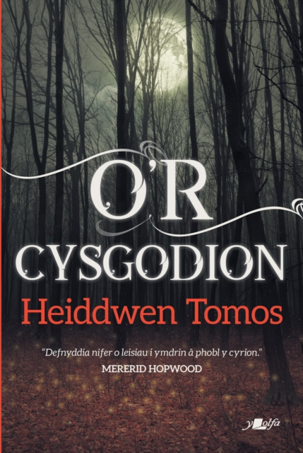 E-kniha O'r Cysgodion - Casgliad o Straeon Byrion Heiddwen Thomas