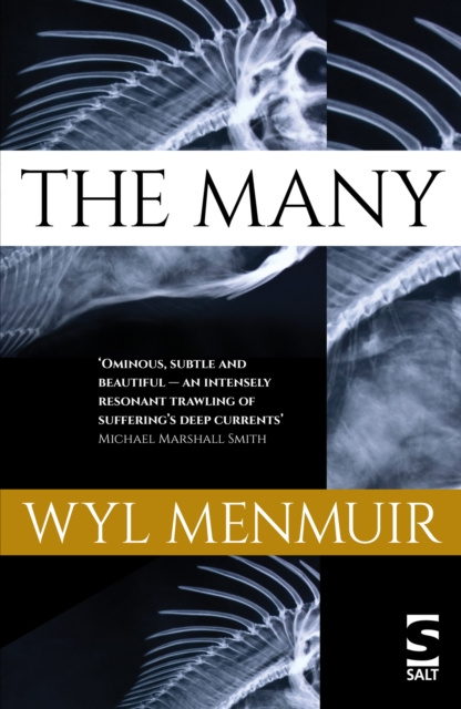 E-book Many Wyl Menmuir