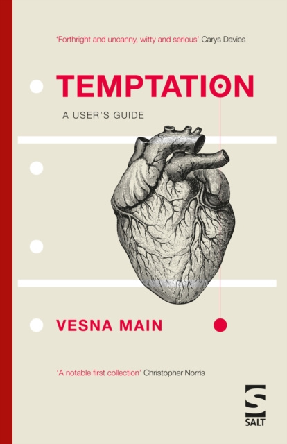 E-book Temptation: A User's Guide Vesna Main
