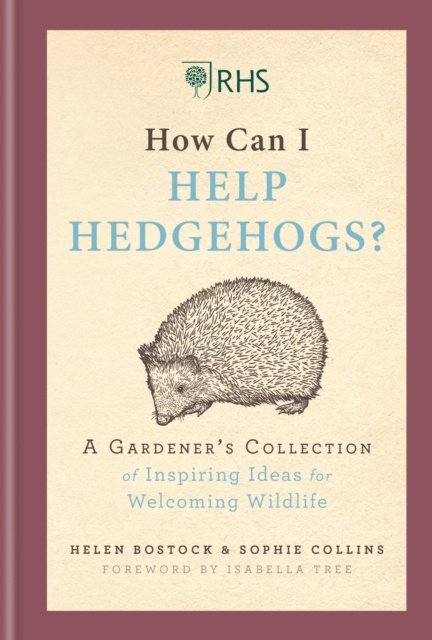 E-kniha RHS How Can I Help Hedgehogs? Helen Bostock