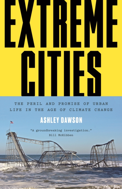 E-kniha Extreme Cities Ashley Dawson