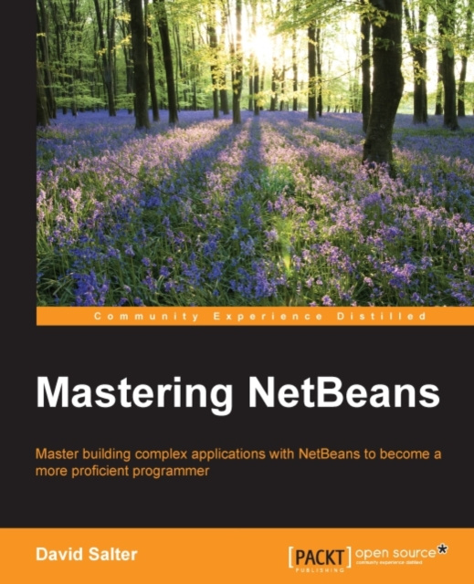 E-book Mastering NetBeans David Salter