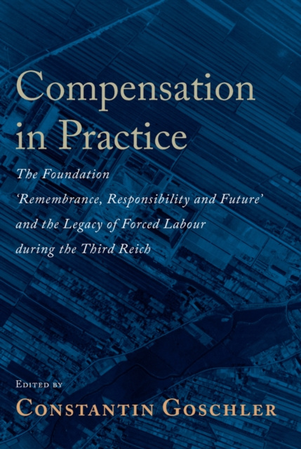 E-knjiga Compensation in Practice Constantin Goschler