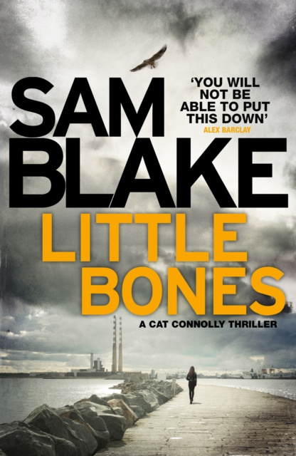 E-book Little Bones Sam Blake
