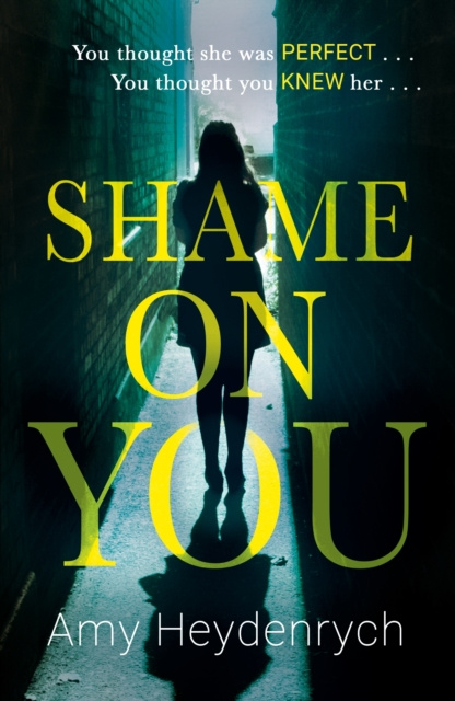 E-Book Shame on You Amy Heydenrych