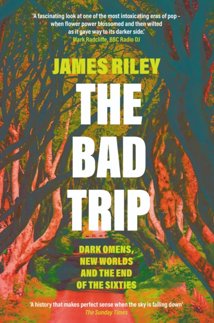 E-knjiga Bad Trip James Riley