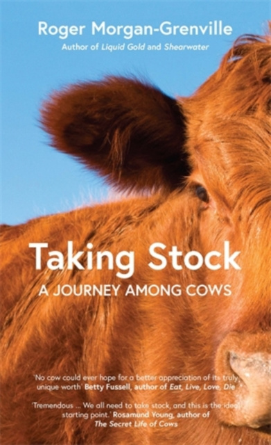 E-book Taking Stock Roger Morgan-Grenville