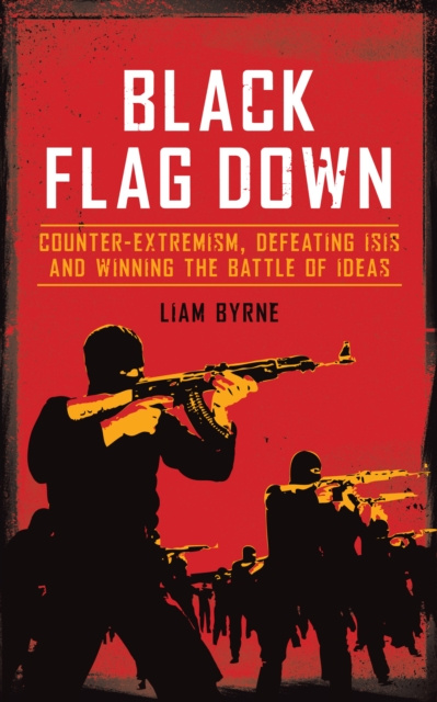 E-knjiga Black Flag Down Liam Byrne