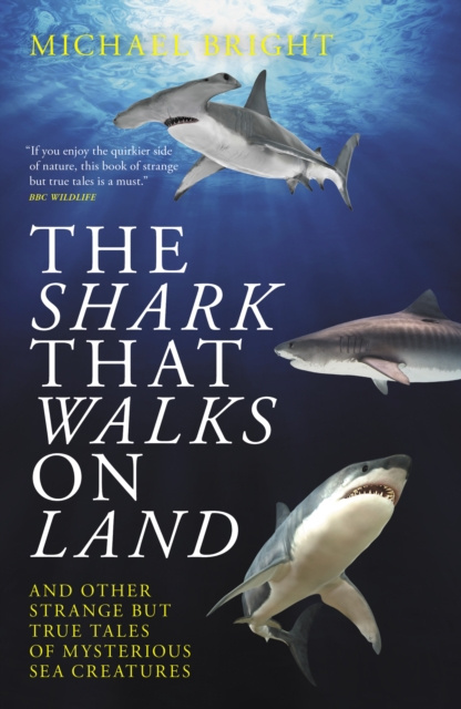 E-kniha Shark That Walks On Land Michael Bright