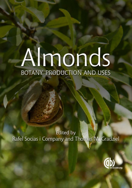 E-book Almonds Rafel Socias i Company