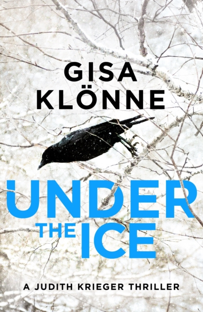 E-book Under the Ice Gisa Klonne