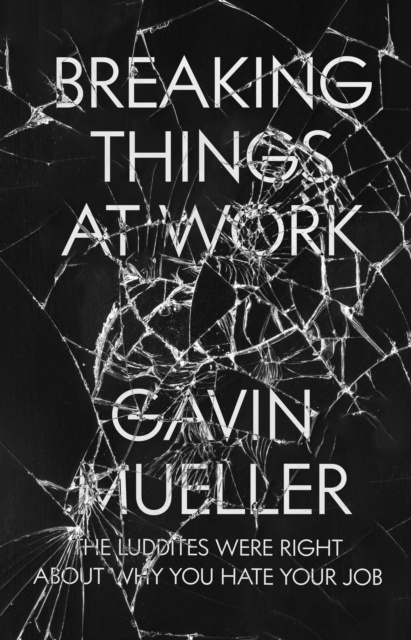 E-book Breaking Things at Work Gavin Mueller