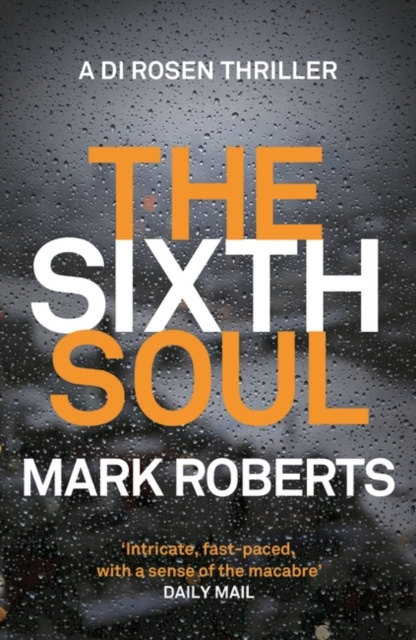 E-knjiga Sixth Soul Mark Roberts