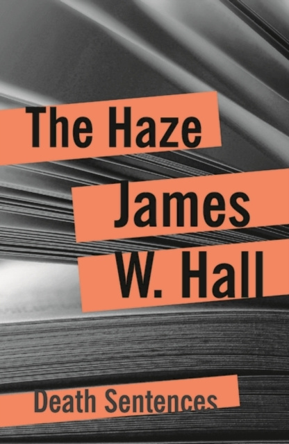 E-book Haze James W. Hall