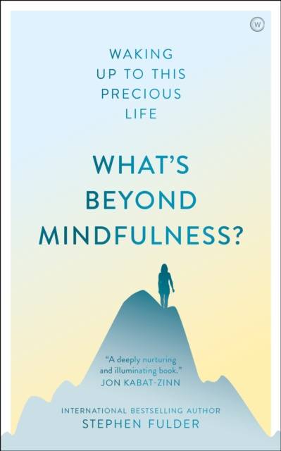 E-kniha What's Beyond Mindfulness? Stephen Fulder