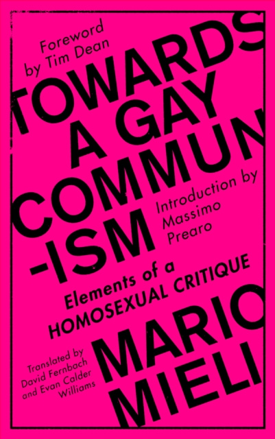 E-kniha Towards a Gay Communism Mario Mieli