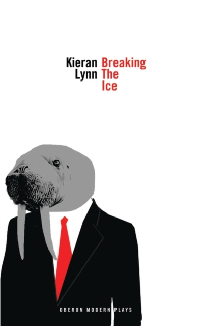 E-knjiga Breaking the Ice Lynn Kieran Lynn