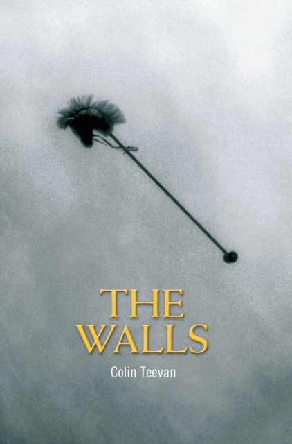 E-book Walls Teevan Colin Teevan