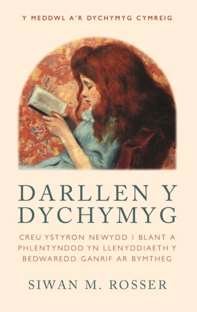 E-kniha Darllen y Dychymyg Siwan M. Rosser
