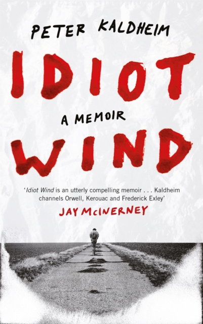 E-kniha Idiot Wind Peter Kaldheim