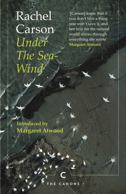 E-kniha Under the Sea-Wind Rachel Carson