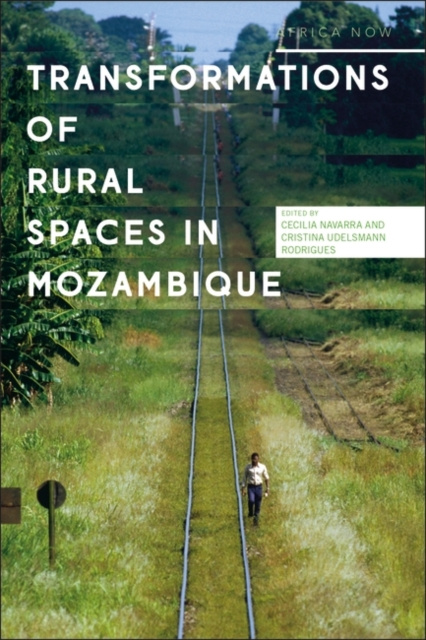 E-Book Transformations of Rural Spaces in Mozambique Navarra Cecilia Navarra
