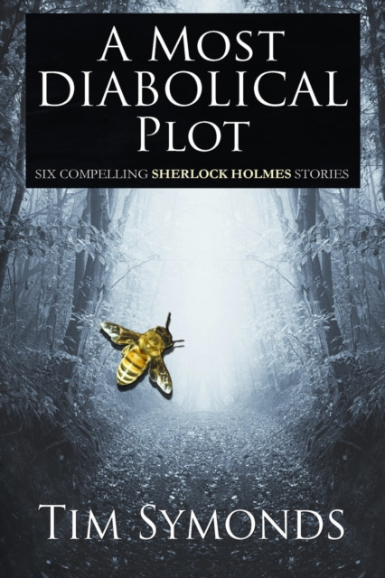 E-knjiga Most Diabolical Plot Tim Symonds