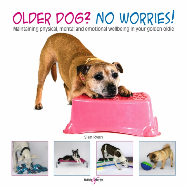 E-book Older dog? No worries! Sian Ryan