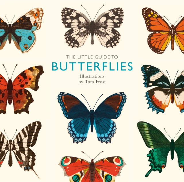 E-book Little Guide to Butterflies Alison Davies