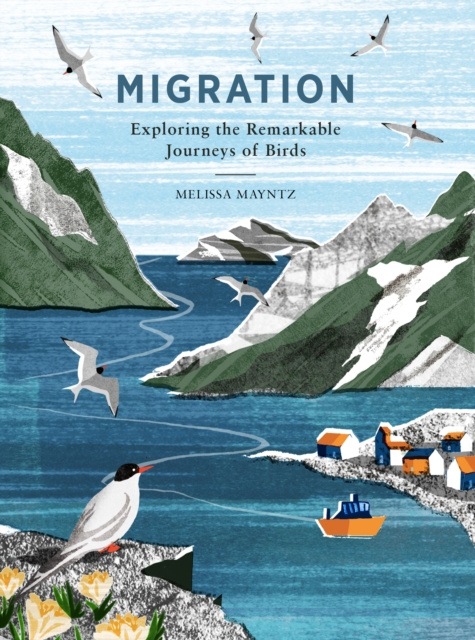 E-knjiga Migration Melissa Mayntz