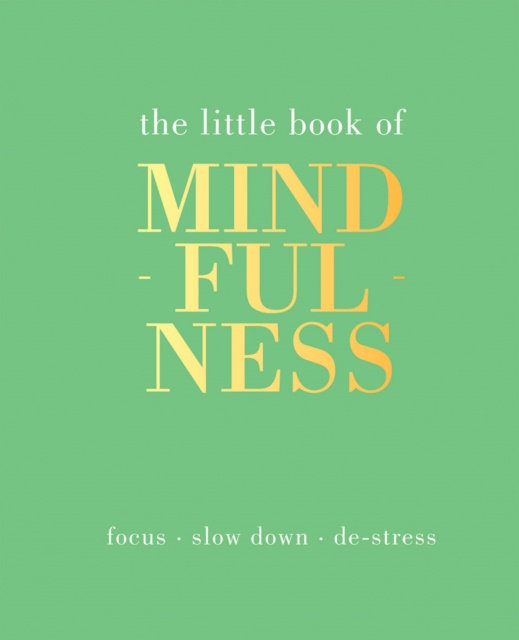 E-kniha Little Book of Mindfulness Tiddy Rowan