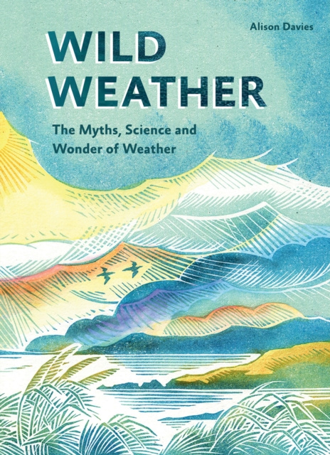 E-knjiga Wild Weather Alison Davies