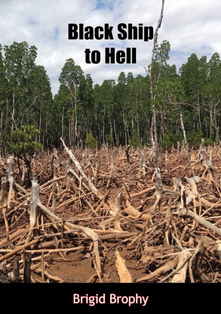 E-book Black Ship to Hell Brigid Brophy