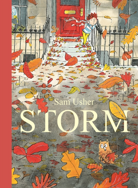 E-book Storm Sam Usher