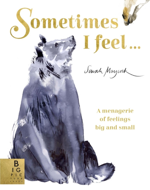 E-kniha Sometimes I Feel... Sarah Maycock
