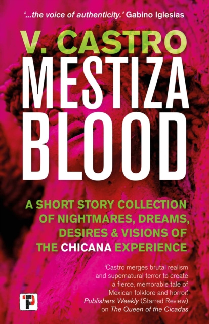E-kniha Mestiza Blood V. Castro