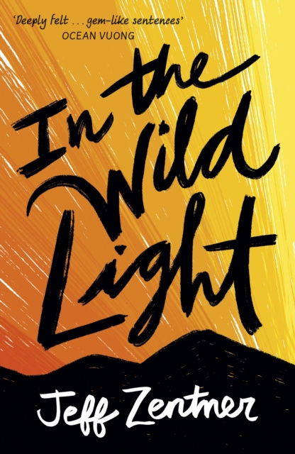 E-kniha In the Wild Light Jeff Zentner