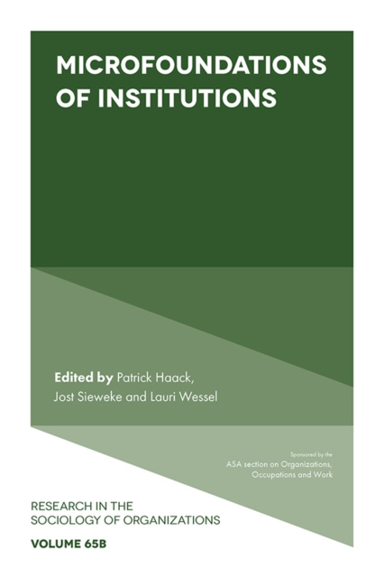 E-kniha Microfoundations of Institutions Patrick Haack