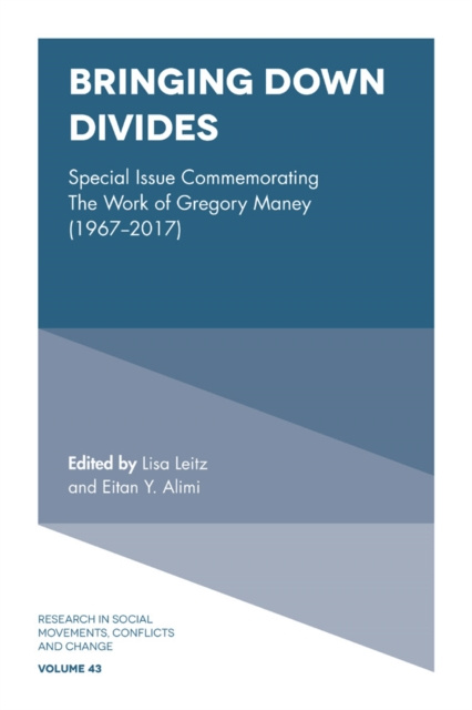 E-knjiga Bringing Down Divides Lisa Leitz