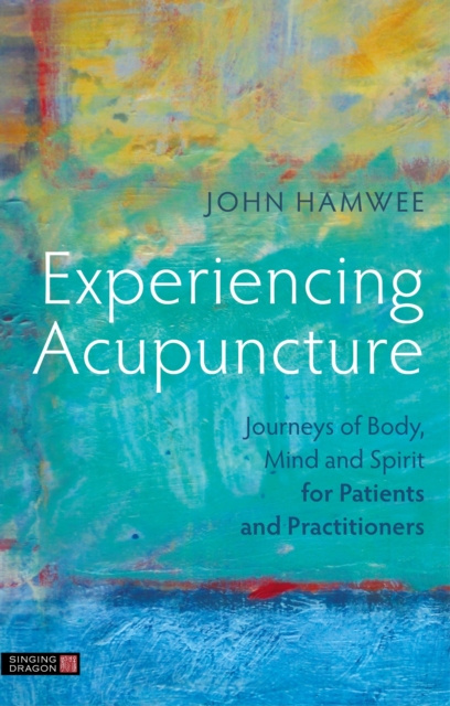E-book Experiencing Acupuncture John Hamwee