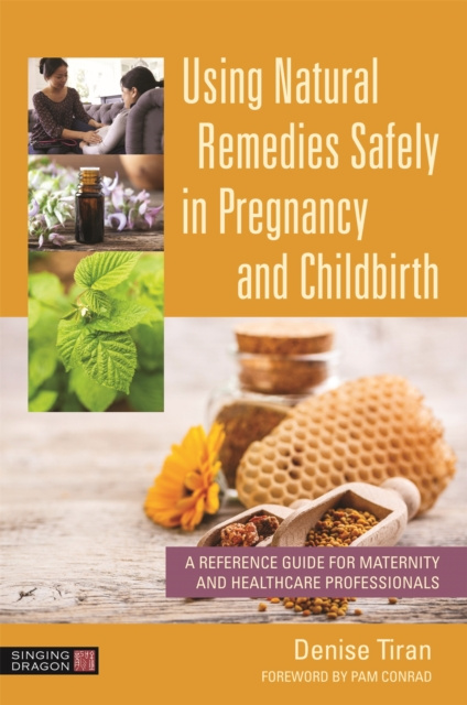 E-kniha Using Natural Remedies Safely in Pregnancy and Childbirth Denise Tiran