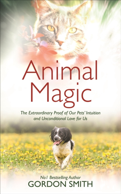 E-knjiga Animal Magic Gordon Smith